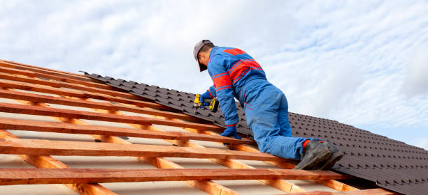 Best Solar Panel Roofing Installation  in Camden, SC